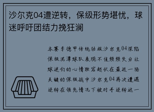 沙尔克04遭逆转，保级形势堪忧，球迷呼吁团结力挽狂澜